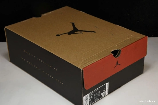 Jordan Cherry 12 Retro CT8013-116  CT8013-116  0224